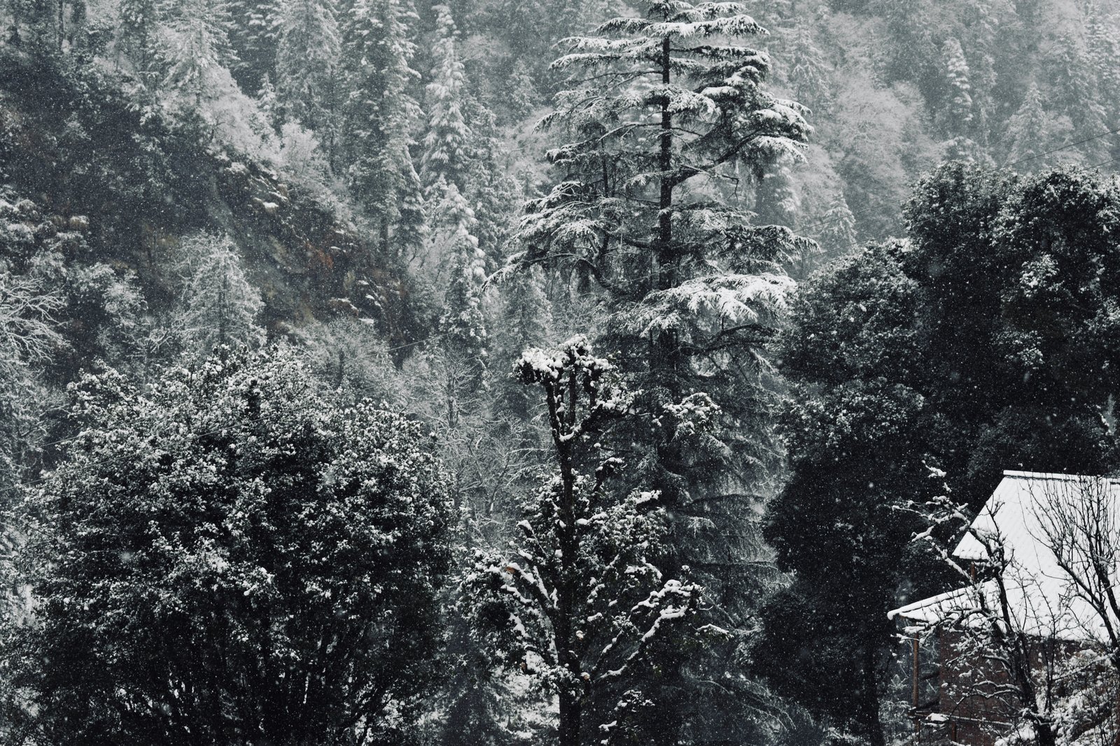 River-cut valley of Kullu